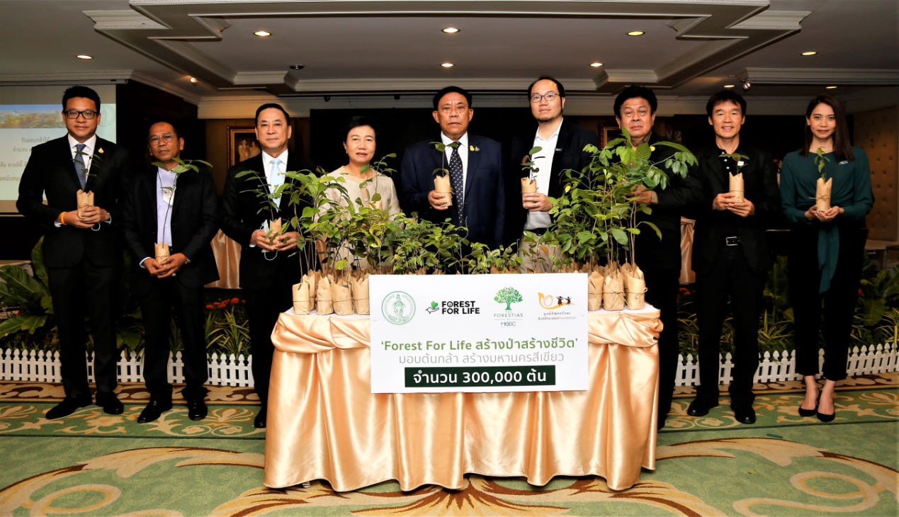 生命森林 | 30万株苗木，让曼谷更绿意盎然