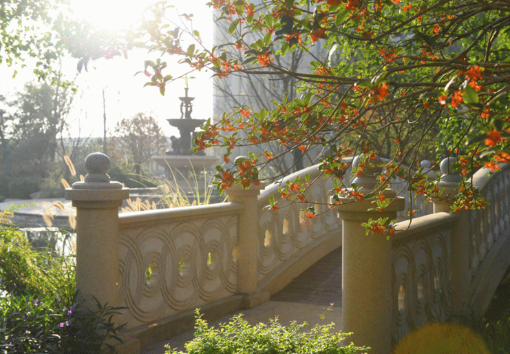 找到了！昆山网红新地标睿铂庭，绝美打卡地就在这